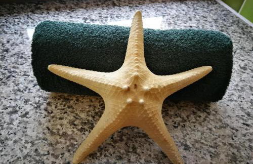 Ferien in der alten Scheune - Foto 26