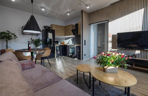 Apartamenty Częstochowa pod Jasną Górą Teresy 4-2 parking gratis - Photo 48