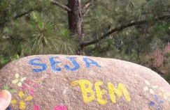 Chácara das Araucárias - Foto 65