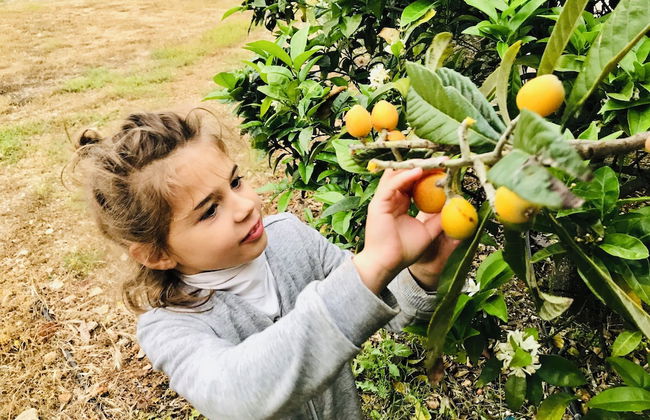 Villa Laura - Foto 24