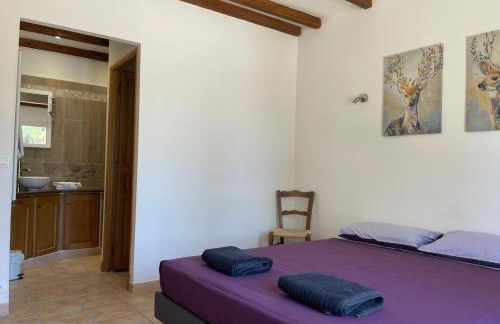 Les Célestins - Villa en Provence - Photo 9