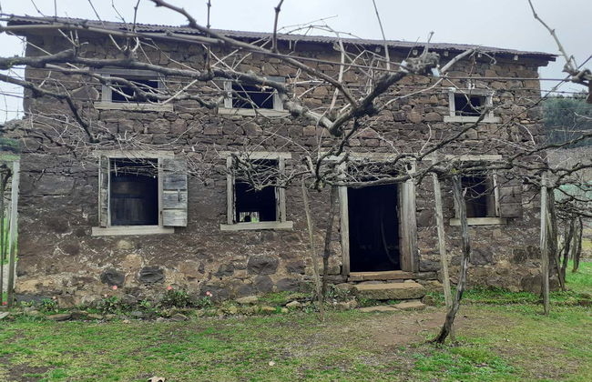 Tour de la inmigración italiana - Foto 6