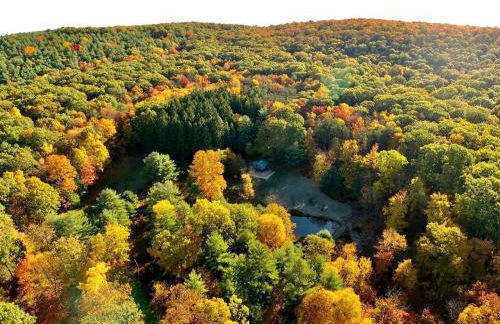 Gorgeous Cottage for Two, Overlooking Pond on 20 acres, Glamping in Pennsylvania - Foto 57