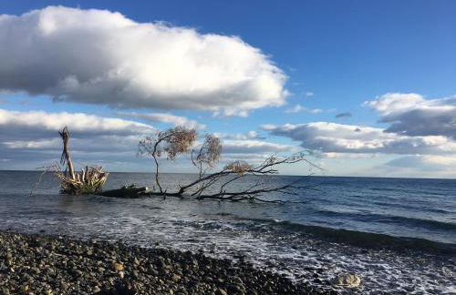 Mon paradis au soleil - Photo 55