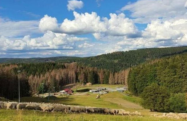 Quiet Home Near Vessertal - Photo 36