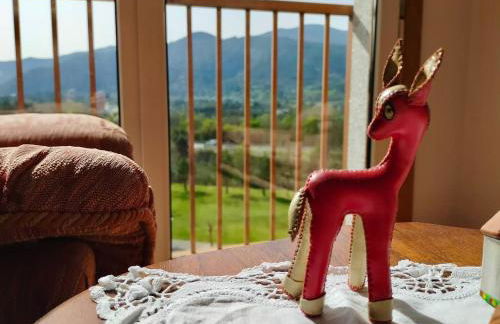 Preciosas vistas en el corazón de la Riveira Sacra - Foto 5