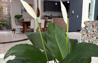 Casa Porto Di Nassau - Foto 57