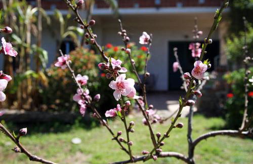 Tenuta Piana 2 con accesso diretto al mare - Foto 10