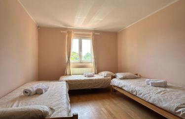 Kuća Šuma - Foto 47