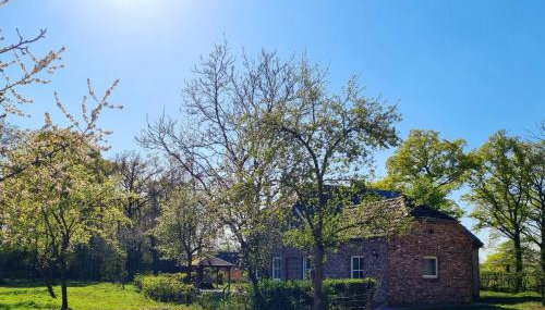 Die alte Waldkate - Windschief und mitten in der Natur - Foto 3