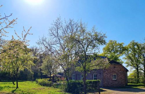 Die alte Waldkate - Windschief und mitten in der Natur - Foto 3