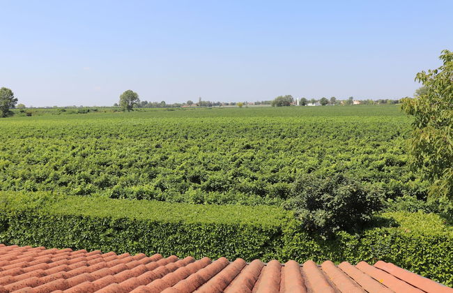 Agriturismo Le Cipressine - Photo 35