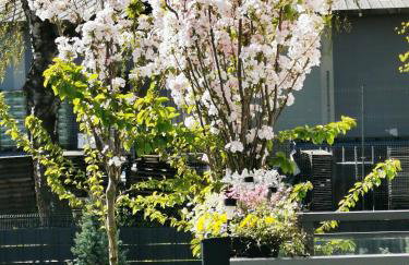 Fajne Miejsce - Foto 13