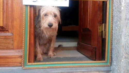 Os 5 Sentidos - Foto 5