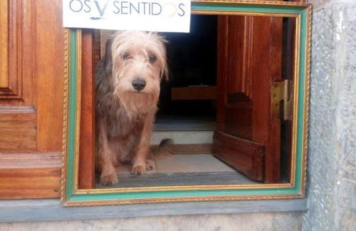 Os 5 Sentidos - Foto 5