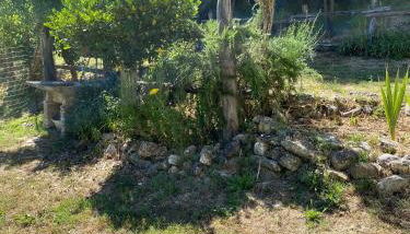 Casa rio Lera - Foto 3