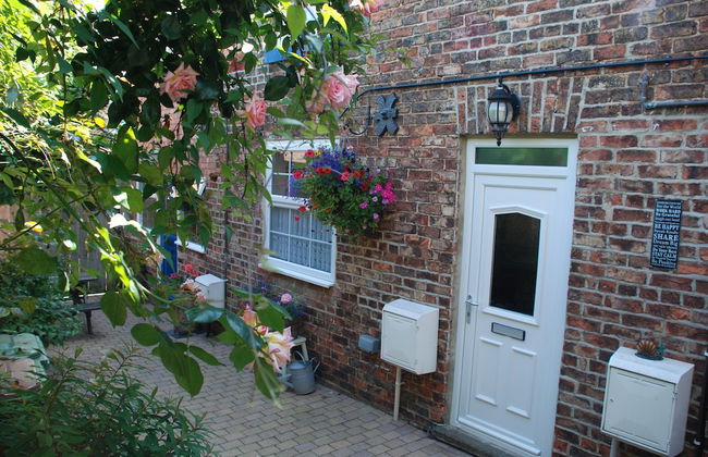 Saltburn Holidays Bluebell Cottage - Foto 1
