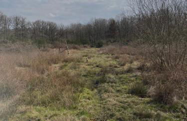 La Sauvagine - Foto 21