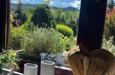 LAWENDOWA PRZYSTAŃ - dom nad rzeką - Brenna, 10 osób, sauna, balia z jacuzzi, ogród, plac zabaw - Foto 46