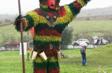 Casa Freixedelo - Foto 49