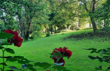 Moulin de Janlard - Foto 55