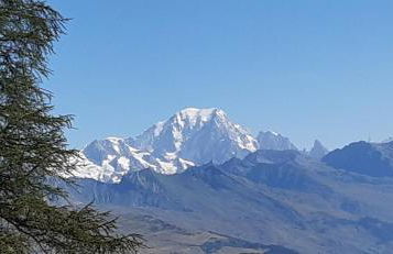 Studio 442 au pied des pistes La Plagne - Foto 11