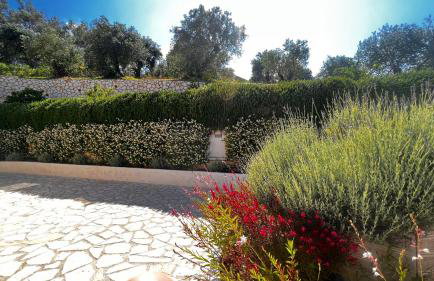 Villa Sania - Foto 39