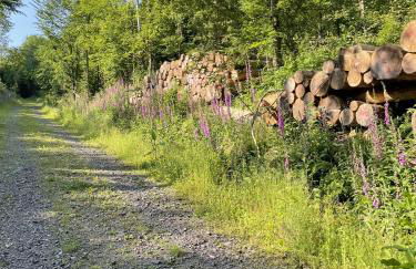 Gittas Paradiesperle - Foto 23