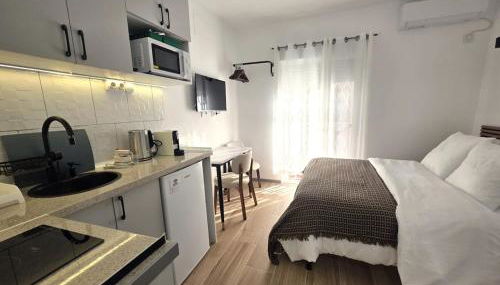 203 Studio with Kitchenette & Private Bath - Foto 2