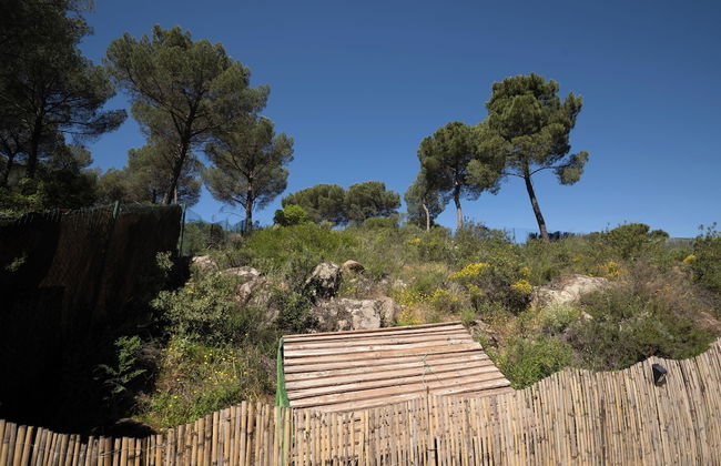 Villa Sueños - Photo 38