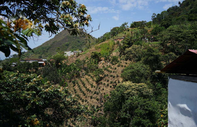 Tour do café por Medellín - Foto 11