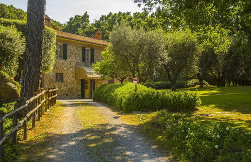 Fattoria di Magliano Winery - Foto 35