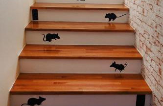 Apartman Mimi - Foto 71