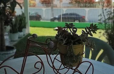 Família Castro Ostras - Foto 27