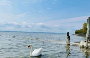 " Sunshine am See " - Foto 14