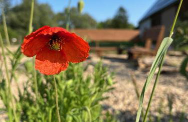 Prosinko 25 - Foto 49