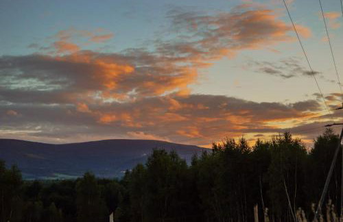 Brzozami Malowane - Photo 16