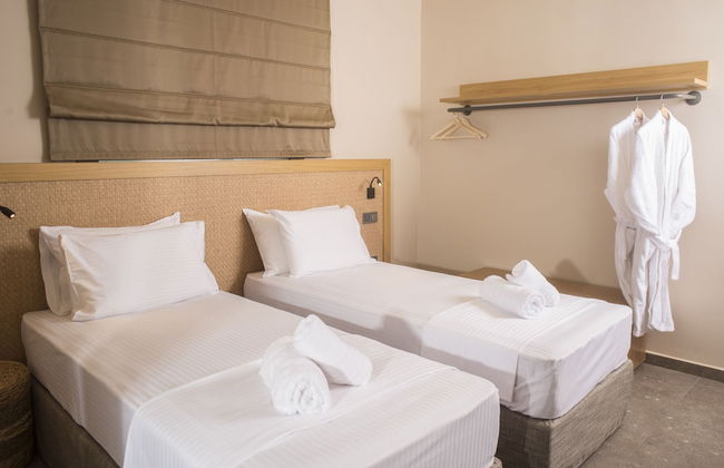 Elaia Grove - Foto 20