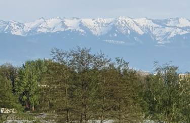 Penthouse Weitblick mit Berg und Seesicht - Foto 39