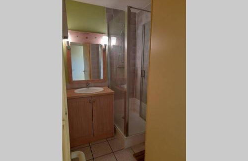 T2 appartment with sea view and swimmimg pool. - Foto 10