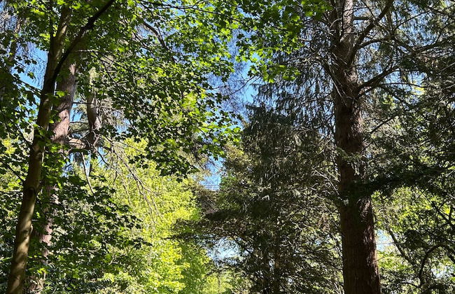 Melville Castle - Foto 61