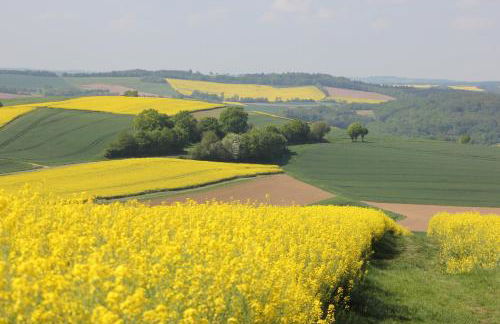 Ferienwohnung zur Burg Eltz - Foto 15