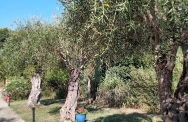 Villa Nino - Foto 15