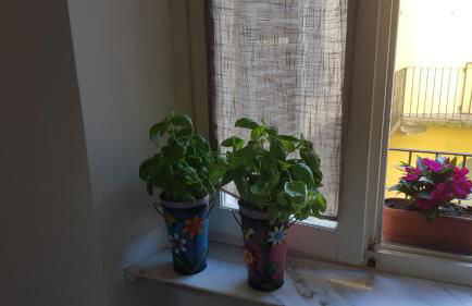 Casa della Ludo a Biella - Foto 32