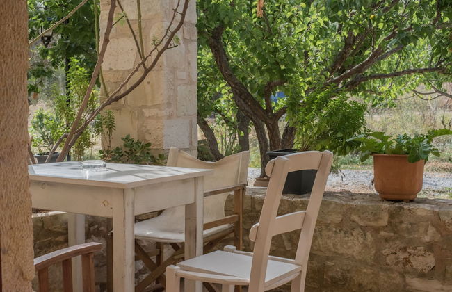 Vamos Fabrica Farm - Foto 28