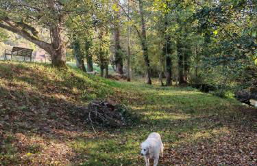 Les Girouteaux Le Fenil - Photo 33