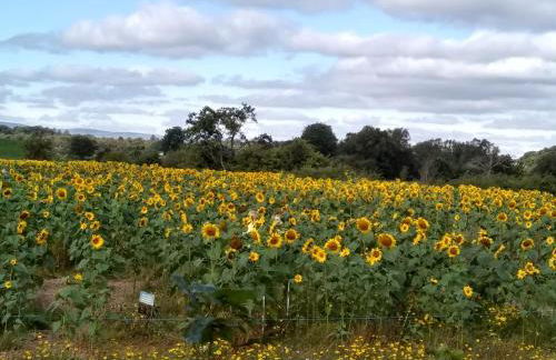 Moyola River Cottage - Foto 17