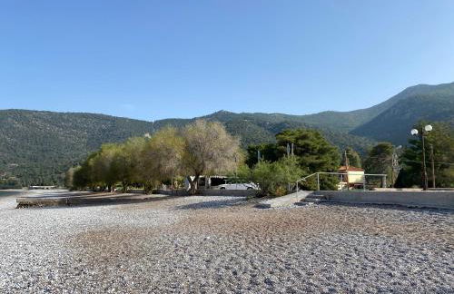 Georgia Psatha - Foto 27