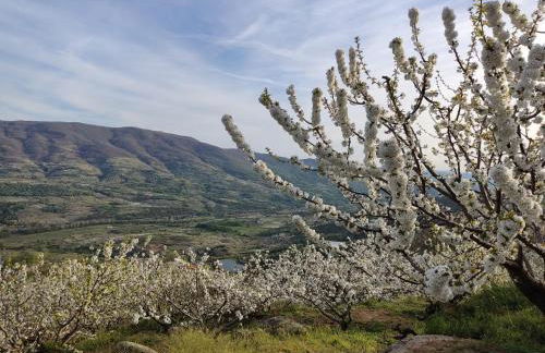 Casa Rural El Regajo Valle del Jerte - Foto 82