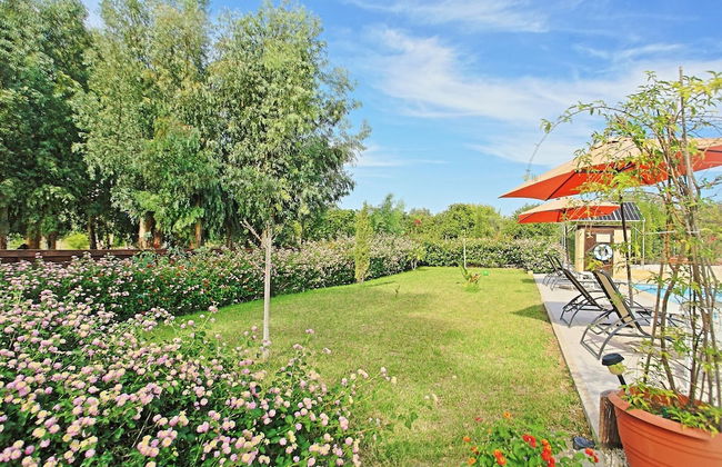 Villa Georgios Rafaela - Photo 10